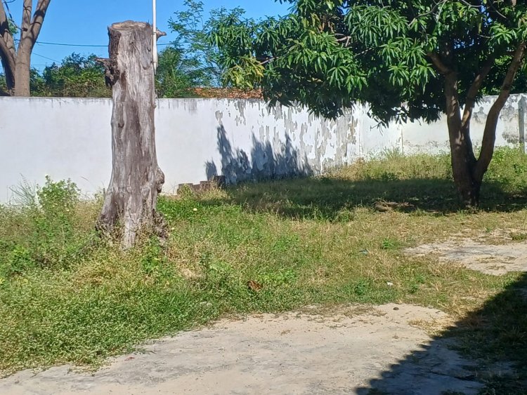 Floriano: Educação e Infraestrutura retomam roço e capina nas escolas do município