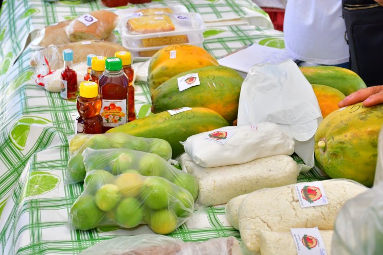 Dia da Bandeira e Feira da Agricultura marcam o sexto dia do aniversário de Floriano