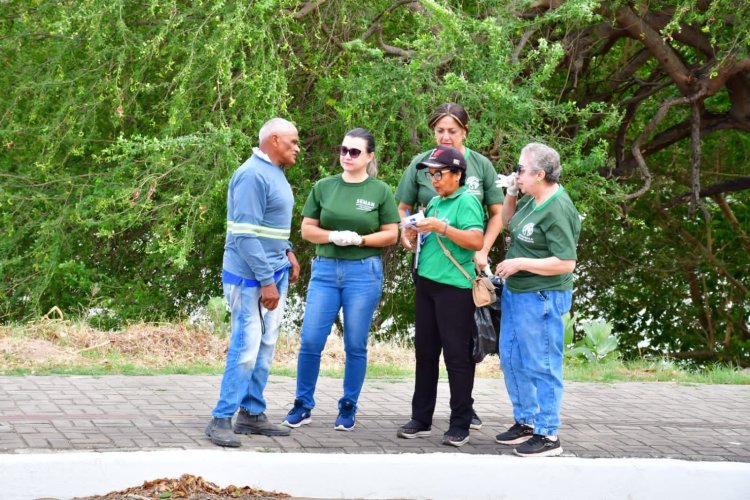 SEMAN realiza mutirão de limpeza nas margens do Rio Parnaíba