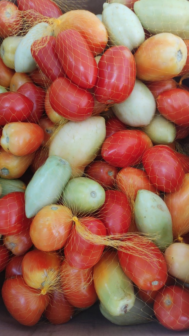 Educação de Floriano distribui produtos da agricultura familiar