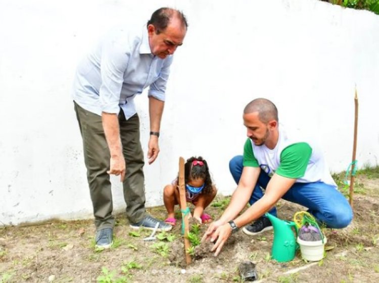 Quem planta, colhe!