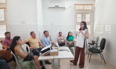 Saúde de Floriano realiza capacitação sobre TEA para os médicos da Atenção Primária