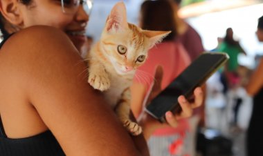 Meu Amigo Pet realiza mais de 250 atendimentos no bairro Caixa D’água