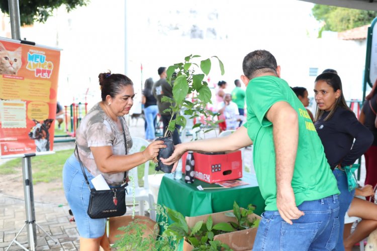 Meu Amigo Pet realiza mais de 250 atendimentos no bairro Caixa D’água