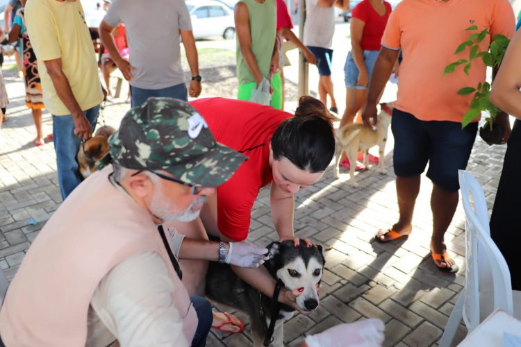 Meu Amigo Pet realiza mais de 250 atendimentos no bairro Caixa D’água