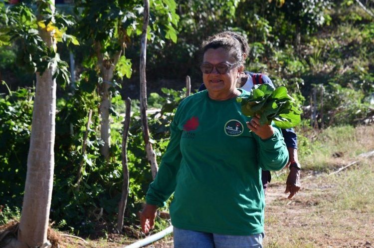 Floriano 127 anos: horticultores recebem kits de irrigação