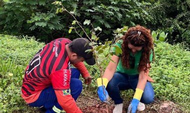 Prefeitura de Floriano celebra ‘Dia Internacional das Florestas’ com plantio de mudas