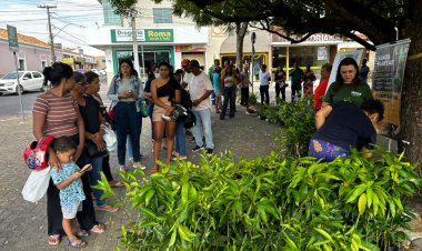 Prefeitura de Floriano celebra o Dia da Árvore com entrega de mudas à população