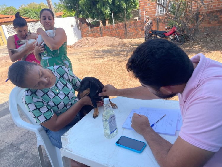 Programa Meu Amigo Pet leva cuidados aos animais e incentiva sustentabilidade no Cajueiro II