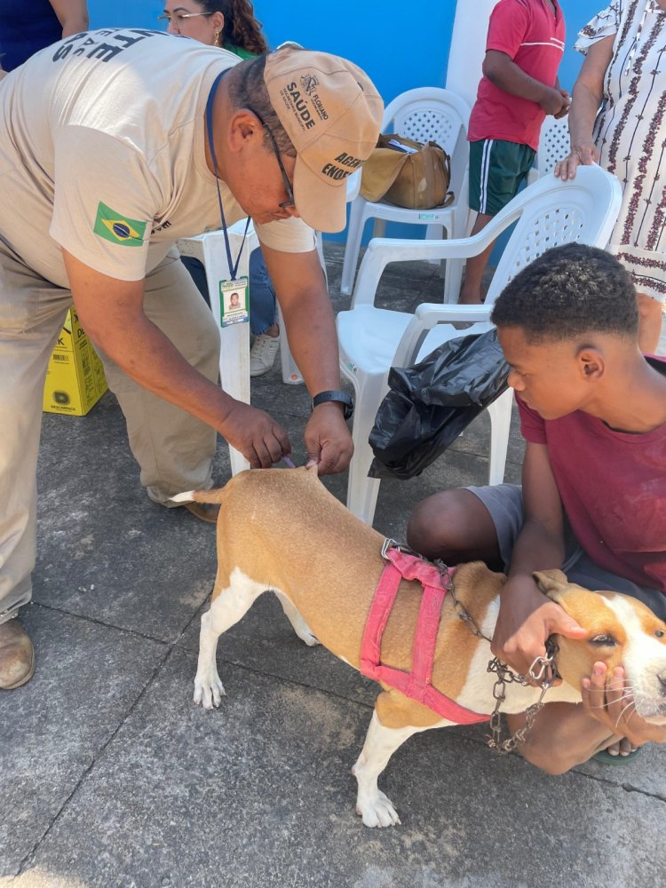 Programa Meu Amigo Pet leva cuidados aos animais e incentiva sustentabilidade no Cajueiro II
