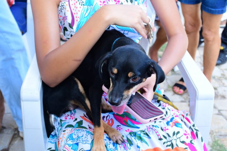 Prefeitura de Floriano recebe Castramóvel e amplia ações de proteção e bem-estar animal
