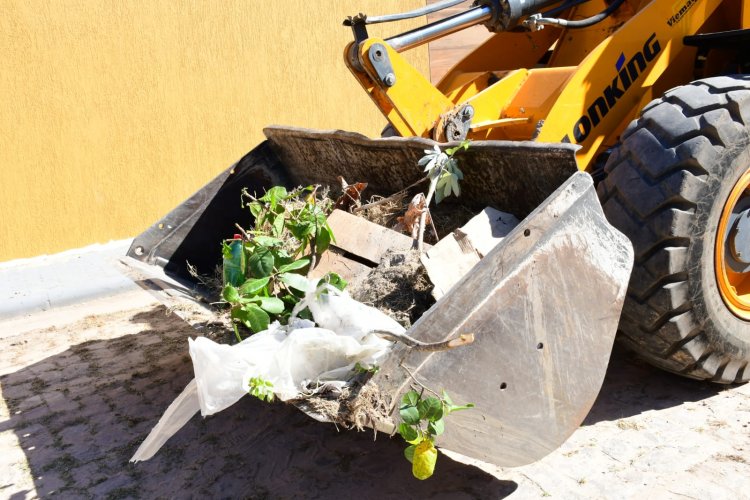 Programa Nosso Bairro é Limpeza beneficia seis bairros de Floriano em apenas 45 dias