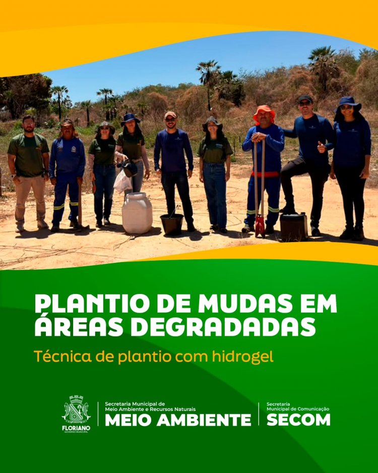 Floriano avança na recuperação ambiental com uso de tecnologia de retenção hídrica