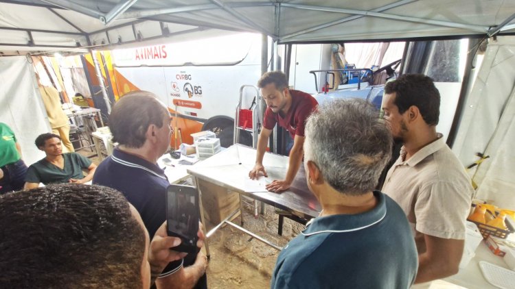 Floriano recebe Busão da Castração e oferta 500 procedimentos gratuitos para cães e gatos