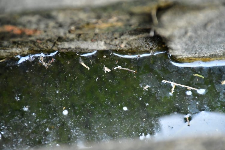 Saúde e Infraestrutura realizam ação no Bairro Via Azul no combate ao mosquito da Dengue