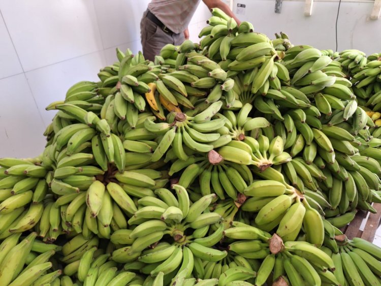 Escolas da Rede Municipal de Floriano são reabastecidas com produtos da alimentação escolar