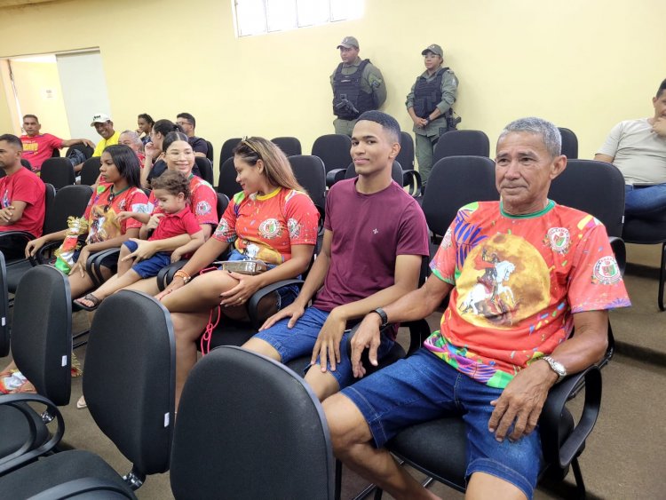 Apuração sagra a escola de samba ‘Os Caipiras’ como a grande campeã do Carnaval de Floriano