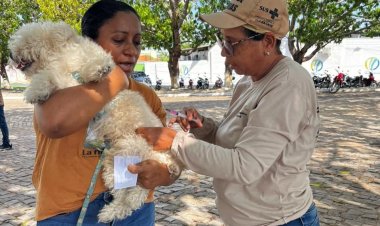 Programa “Meu Amigo Pet” leva serviços de saúde animal e ações ambientais ao bairro Manguinha