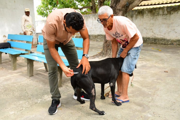 Prefeitura de Floriano mobiliza população no dia D de Vacinação Antirrábica 2025