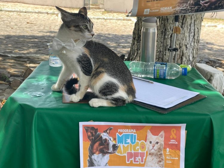 Programa “Meu Amigo Pet” leva serviços de saúde animal e ações ambientais ao bairro Manguinha