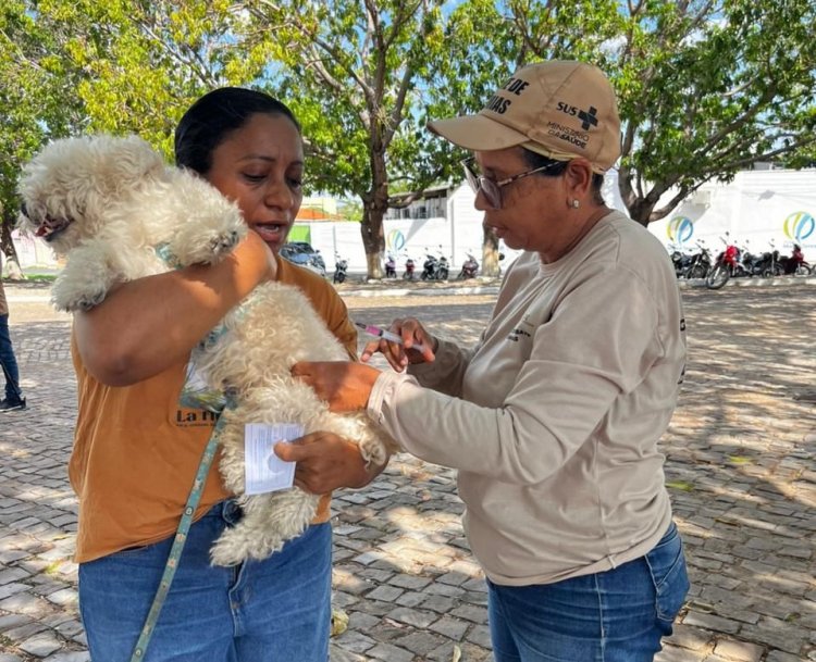 Programa “Meu Amigo Pet” leva serviços de saúde animal e ações ambientais ao bairro Manguinha