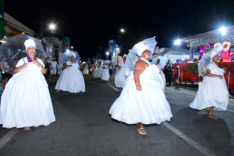 Desfile das Escolas de Samba encanta público na Avenida Getúlio Vargas