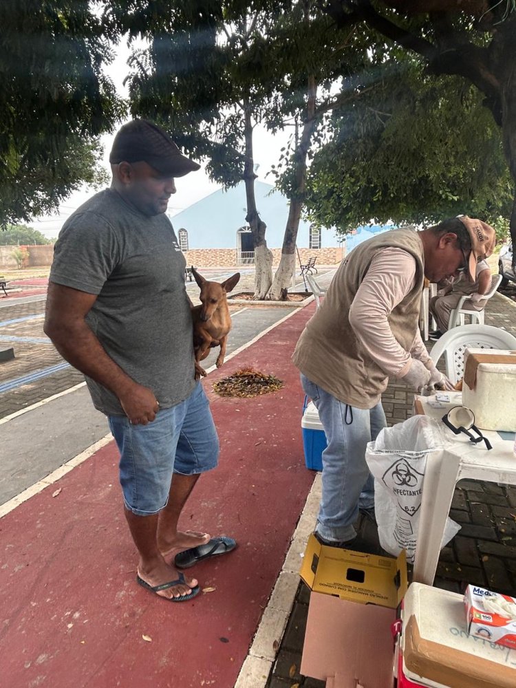 Prefeitura de Floriano realiza edição do ‘Meu Amigo Pet’ no bairro Nossa Senhora da Guia