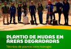 Floriano avança na recuperação ambiental com uso de tecnologia de retenção hídrica
